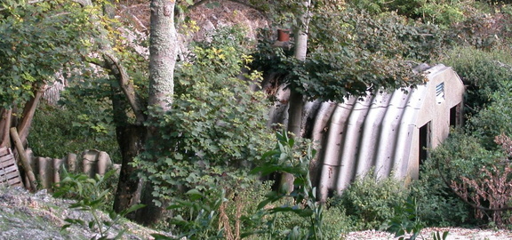 Shelter