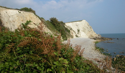 Bay