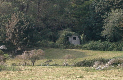 Shelter