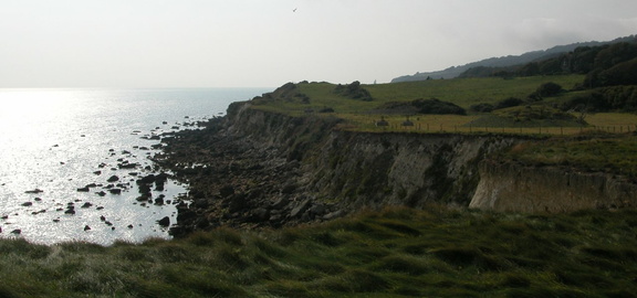 Along the cliffs
