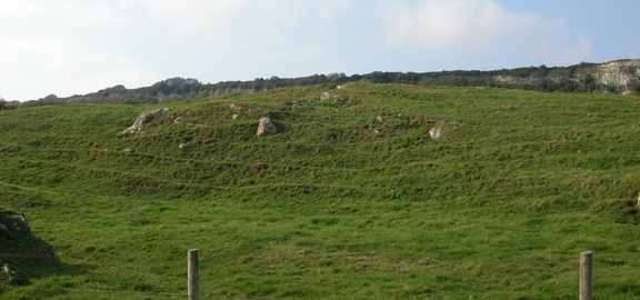 Steps