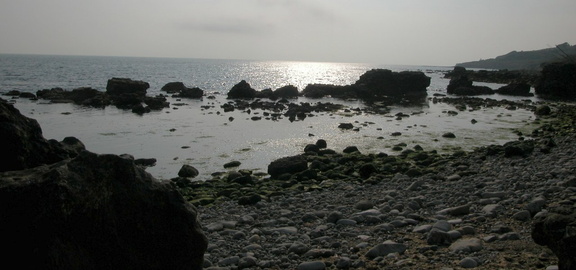 Wall