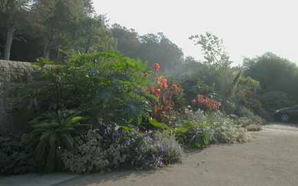 Plants