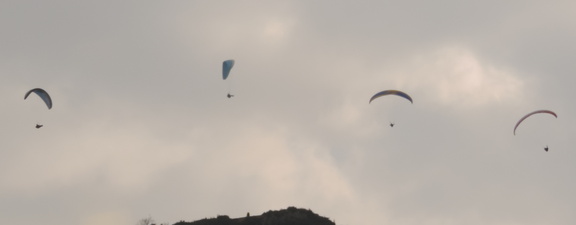 Paragliders