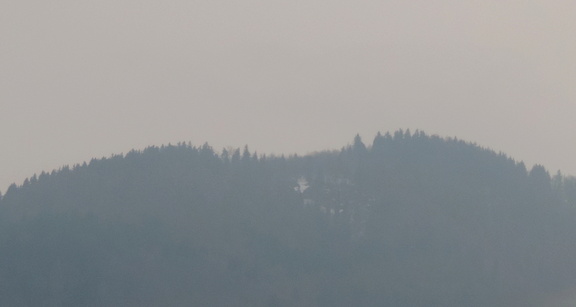 Wooded peak