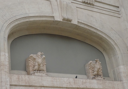 Eagles