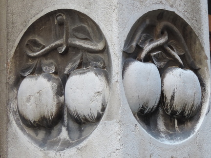 Fruit