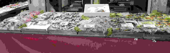 Fish