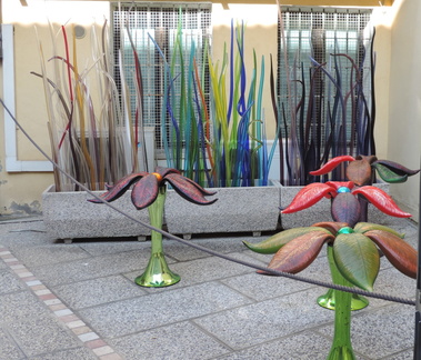 Glass plants
