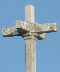 Double cross