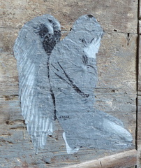 Weeping Angel
