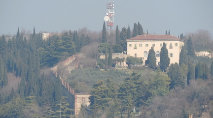 Hillside