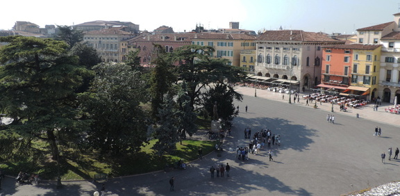 View from Arena