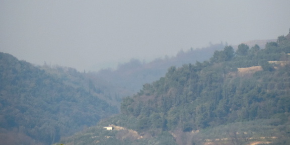 Wooded valley
