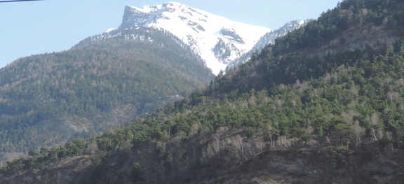 Wooded slopes