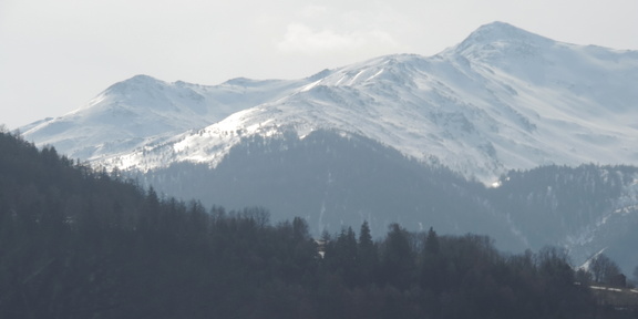 Snowy landscape
