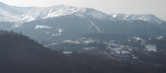 Snowy landscape