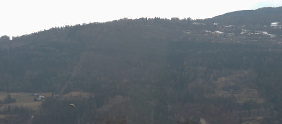 Hillside
