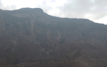 Wooded slope