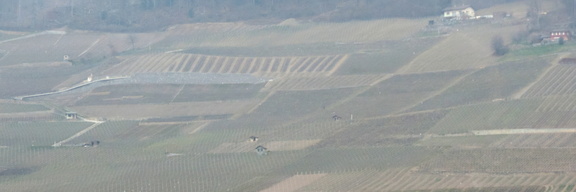 Terraces