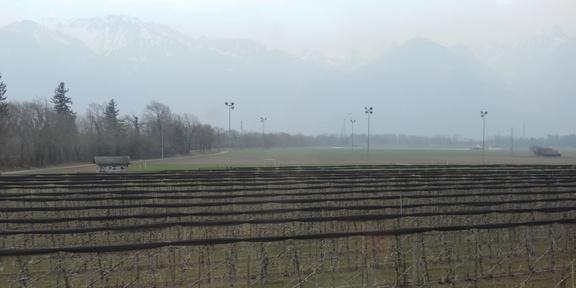 Vineyards