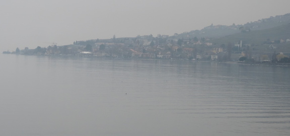 Along the lake
