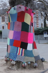 Woolly tree