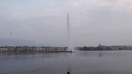 Fountain