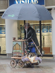 Organ Grinder