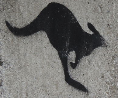 Kangaroo