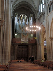 Organ pipes