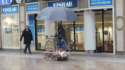 Organ grinder