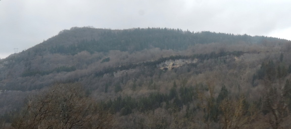Wooded peak