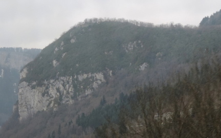 Woods