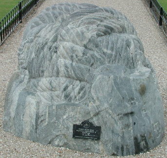 Turk's Head