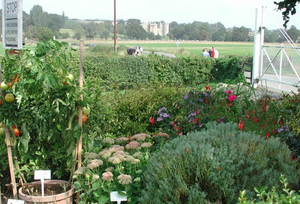 Garden, crossing and castle