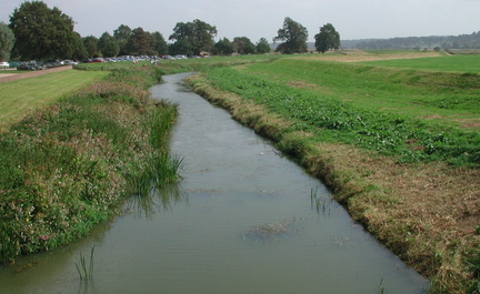 Stream
