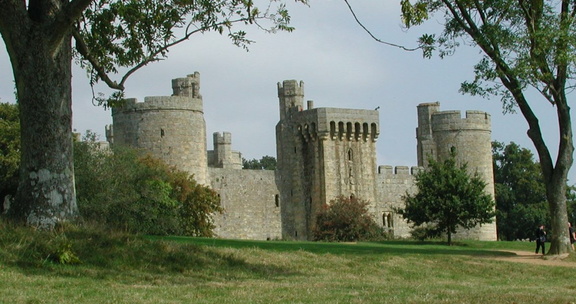 Castle through trees