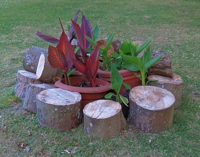 Logs
