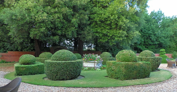 Hedges