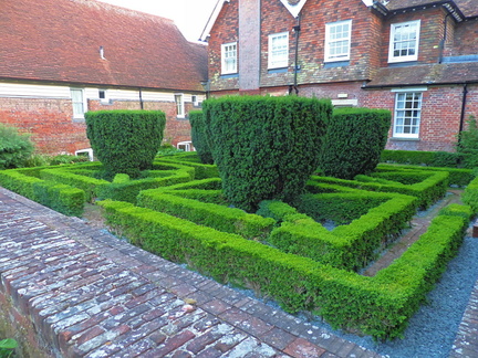 Hedges