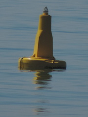 Buoy