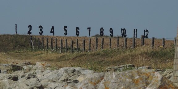 Numbers