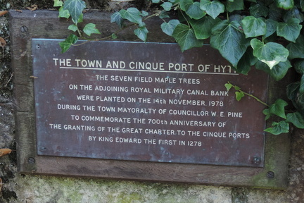 Plaque