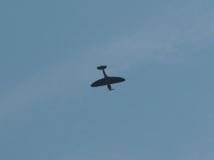 Spitfire
