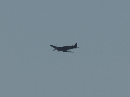 Spitfire