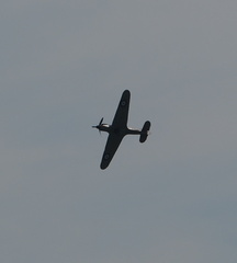 Hurricane