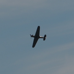 Hurricane