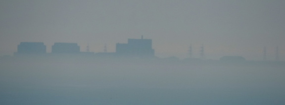Dungeness