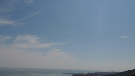Planes